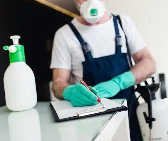 pest control Rutland City